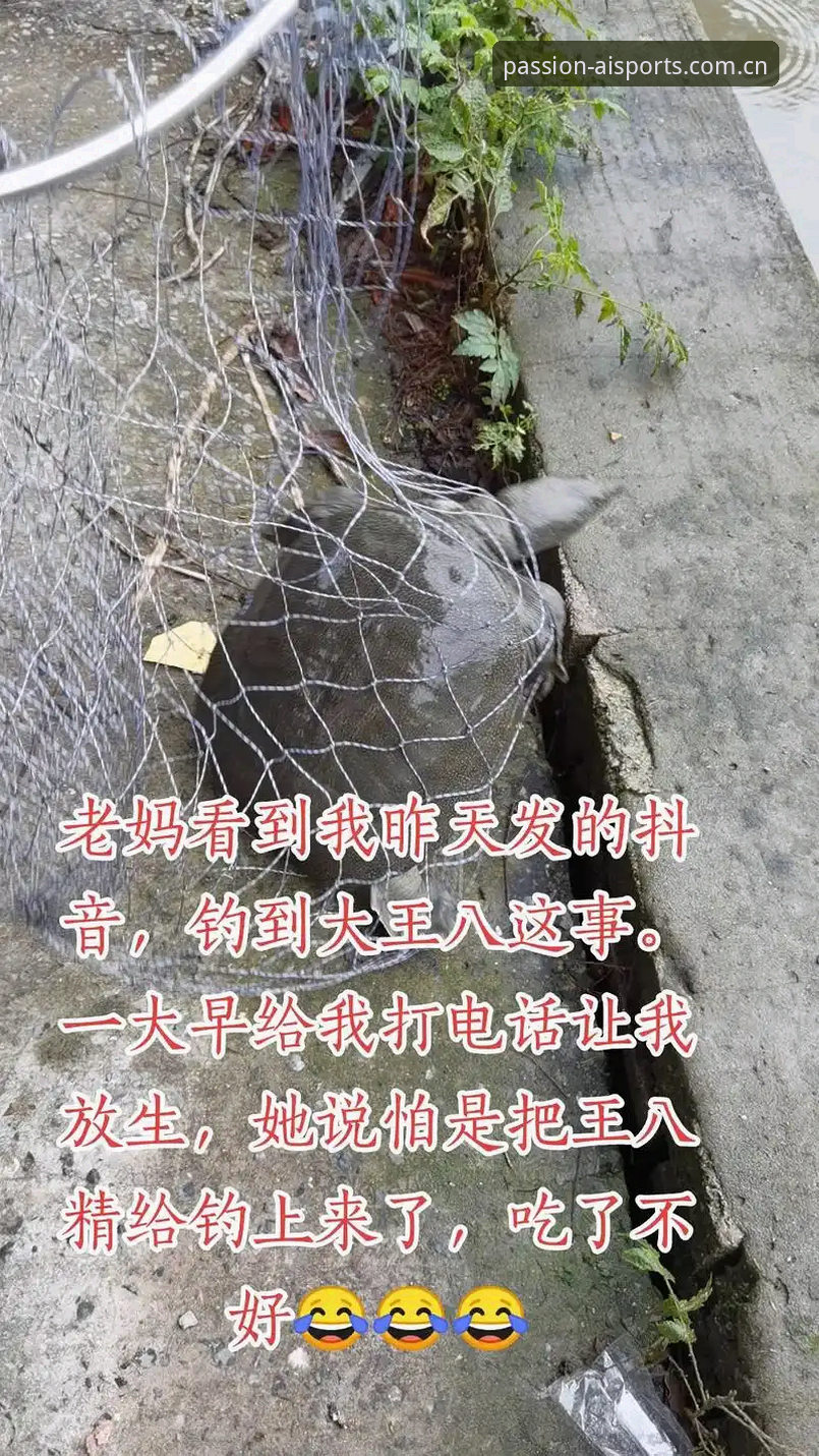 今晚朋友老李给我打了个电话，说想搞清楚雷吉亚纳篮球俱乐部最近那笔“绯闻”签约到底靠不靠谱。他一边翻着赛程表一边念叨：“那个叫奥格贝德的，到底什么路数？值不值得在爱体育平台v2.3.0上蹲他首秀？”我听着他噼里啪啦地打字搜数据，突然觉得就像给新手讲一项新技能。其实这事儿不复杂，咱就把他当做一个“回归意甲老油条”的故事来看。